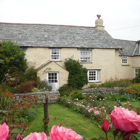Higher Tresmorn Farm Bed & Breakfast Crackington Haven Dış mekan fotoğraf