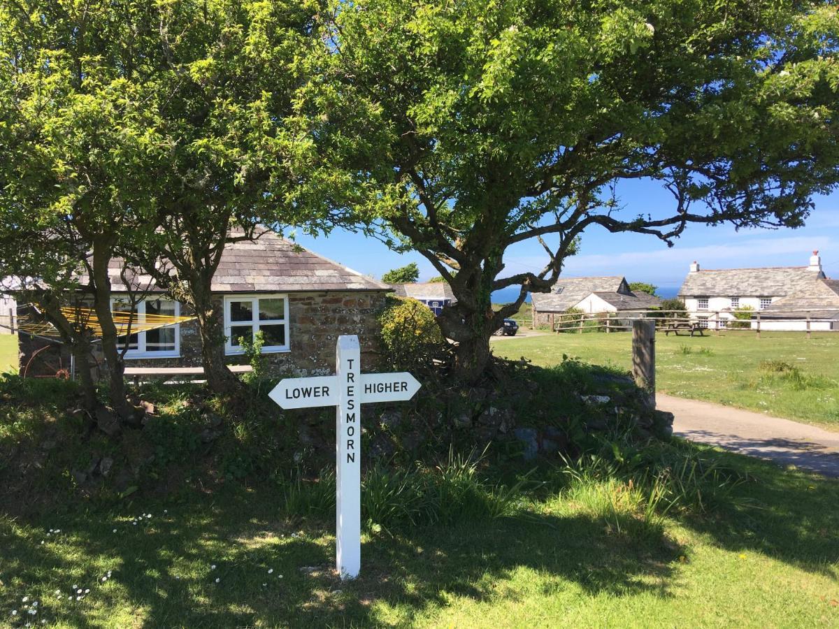 Higher Tresmorn Farm Bed & Breakfast Crackington Haven Dış mekan fotoğraf