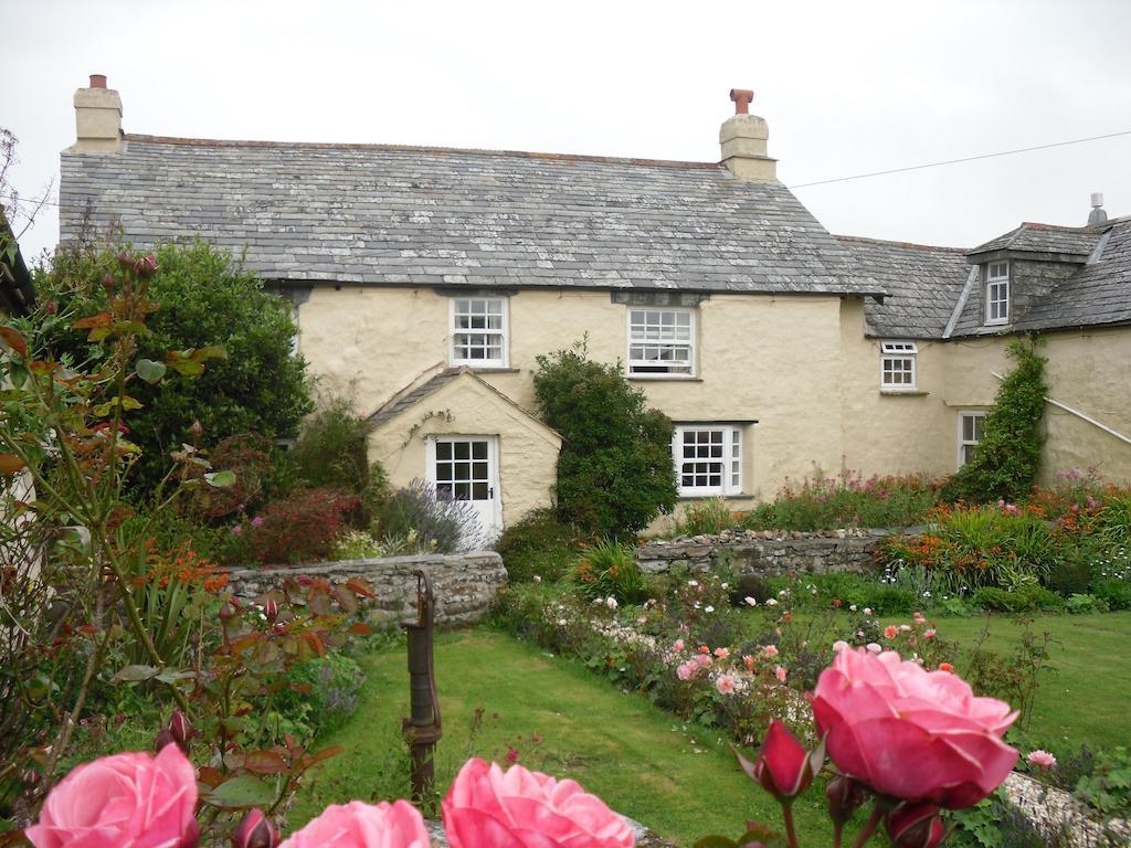 Higher Tresmorn Farm Bed & Breakfast Crackington Haven Dış mekan fotoğraf