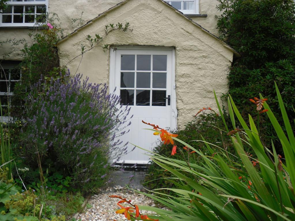 Higher Tresmorn Farm Bed & Breakfast Crackington Haven Dış mekan fotoğraf