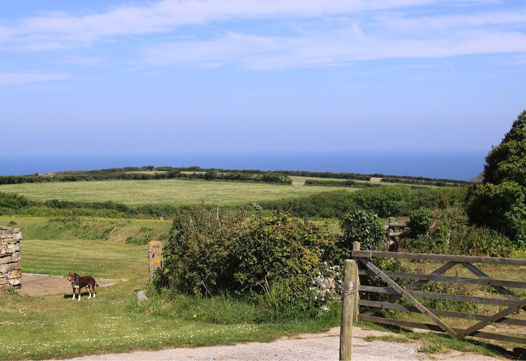 Higher Tresmorn Farm Bed & Breakfast Crackington Haven Dış mekan fotoğraf