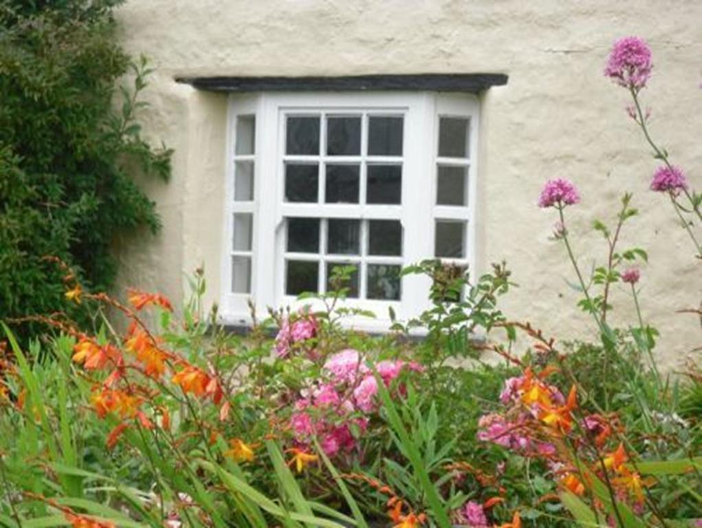 Higher Tresmorn Farm Bed & Breakfast Crackington Haven Dış mekan fotoğraf